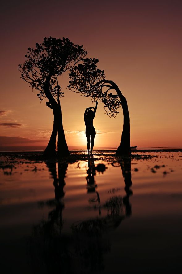 Walakiri Beach Sunset: 傍晚前往瓦拉基里沙灘,當海水退潮,矗立在海中的「跳舞紅樹林」展現出優雅姿態,搭配橘紅色的天光剪影,為松巴島劃下最完美的感性句點。