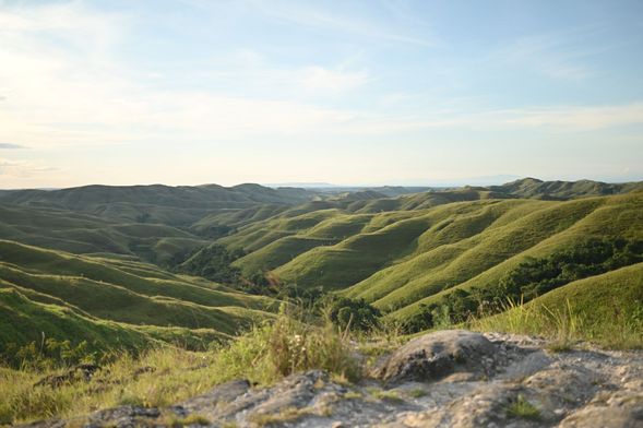 Wairinding Hills 日落: 傍晚抵達東松巴最標誌性的「懷潤丁丘陵」,站在宛如大地波浪的起伏山丘頂端,迎接令人屏息的金色夕陽。