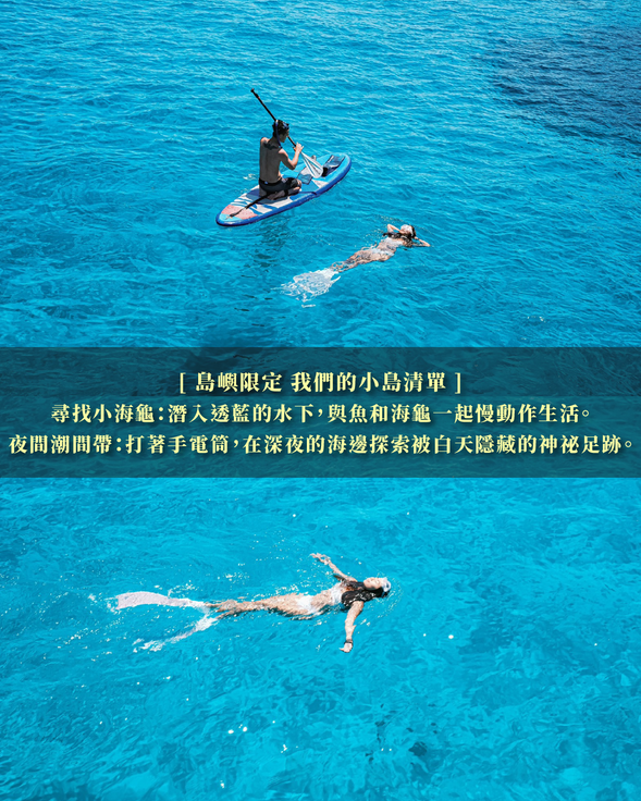 潛入透藍的水下與海龜一起慢動作生活。