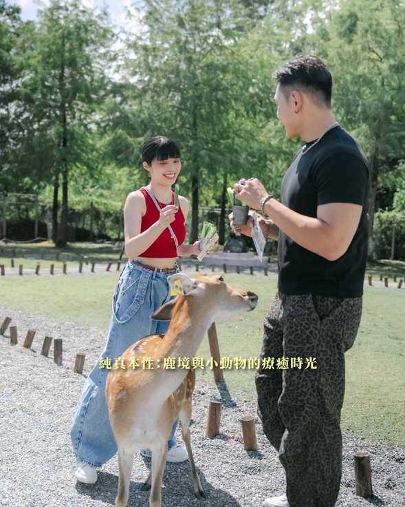 鹿境與小動物的療癒時光