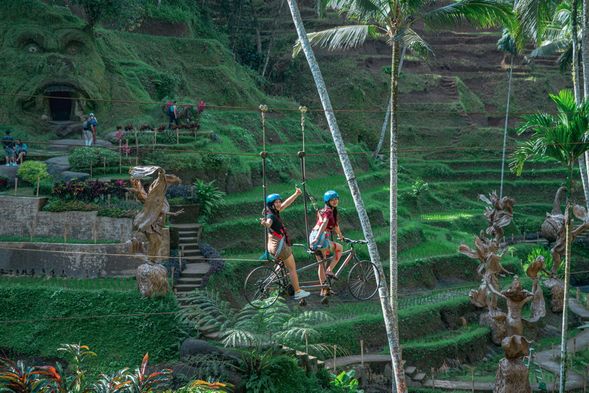 Alas Harum Bali 梯田泳池俱樂部