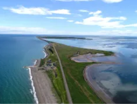 野付半島
知床半島と根室半島の中間に位置し、オホーツク海に腕を伸ばすようにして広がるのが野付半島。全長約26kmの日本最大の砂嘴(さし)です。砂嘴とは、海流により運ばれた砂が、長年に渡って堆積して作られた地形のことです。海流の浸食によってできた複雑に入り組んだ海岸線も、野付半島が多様な生命を育んでいる要因のひとつです。また、野付半島沖の海底は起伏が多く、潮流も早いことから、道内でも有数の漁場となっています。