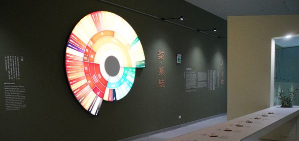 互動體驗了解臺灣茶的各式特色風味。
香氣、滋味、口感的全新知識與體驗。