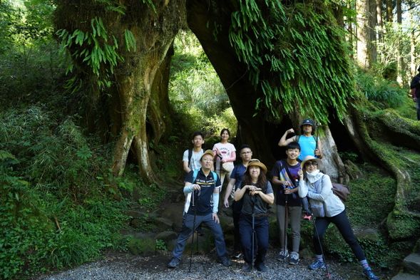 站在塔山步道的入口,深深吸一口氣,感受山林間瀰漫的清新空氣。心情既期待又微微興奮,彷彿即將踏上一場與自然對話的旅程。步道在眼前蜿蜒向上,綠蔭交錯,陽光透過枝葉篩落,映照出錯落的光影,每一步都像是在揭開一幅壯麗的風景畫。
腳步踏上木階,身體隨著高度攀升而逐漸感受挑戰,汗水滑落的同時,心中的悸動也越來越強烈。周圍的蟲鳴鳥叫彷彿為這場攀登伴奏,提醒著旅人,這裡不只是征服山峰的地方,更是洗滌心靈、沈澱思緒的天地。越往上,視野逐漸開闊,遠方的山巒如浪般起伏,雲霧輕柔地飄動,彷彿天地間的流轉都在這裡交會。
這一刻,登頂的成就感未曾浮現,卻已能感受到這段旅程的意義——是與大自然共鳴,感受自己的步伐,享受每一步帶來的風景與感動。