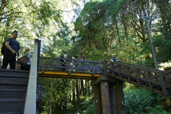站在塔山步道的木平台上,迎面而來的是微風輕拂與大自然的寧靜。步道一路上的努力與汗水,終於在這片寬闊的視野中得到回應。陽光灑落在木製平台上,溫暖而柔和,讓人忍不住駐足,感受片刻的平靜與滿足。
四周山巒環抱,層層起伏,雲霧時而輕輕流動,彷彿天地之間正輕語著隱藏的故事。腳下的木紋透著歲月的痕跡,提醒著旅人,這段步道不只是通往山巔的路途,更是一場內心的探索與沉澱。坐在平台邊緣,深吸一口清新的空氣,讓身心在這片美景中徹底放鬆,世界似乎也安靜了下來,只剩下大自然最純粹的回音。