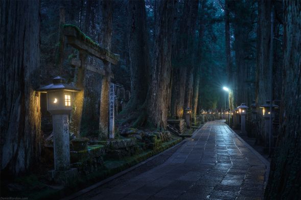 The night tour will start between 19:00 and 19:15 from the time and location written on your tour pass. Our expert guide will lead you on the approximately 2 km one-way path to the inner sanctuary of Kobo Daishi's Gobyo.