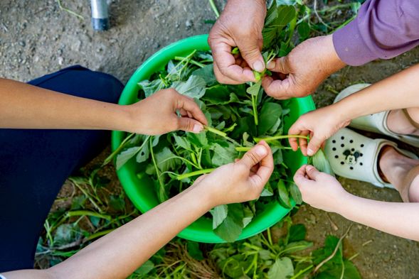 11:00 體驗|Ina 野菜料理廚房:野菜料理準備/製作自然食器/認識料理(說菜)/合唱〈神奇的湯〉