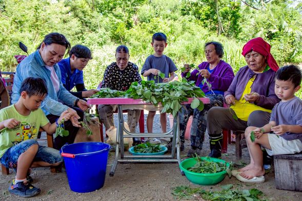 體驗|Ina 野菜料理廚房