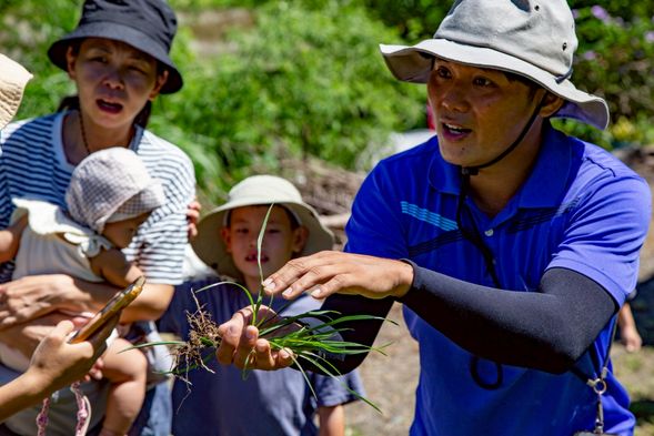 體驗|Ina 野菜秘密基地尋菜