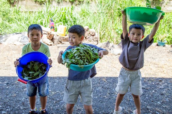 體驗|Ina 野菜料理廚房