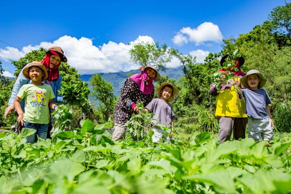 10:20 體驗|Ina 野菜秘密基地尋菜:認識野菜/採集體驗