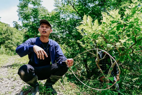 夫魯克山林探索|山林裡的際遇