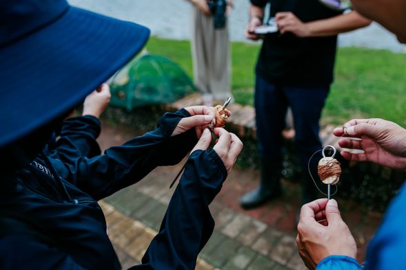 導覽|池上散散步  魚籠放置體驗