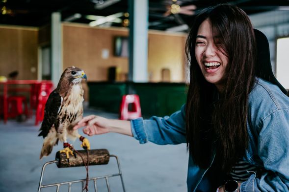 活動|魚與鷹生態遊程-熊良心有限公司