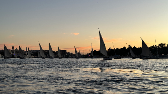 Felucca傳統風帆船