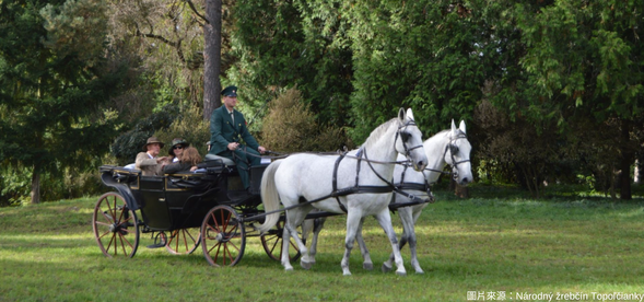 馬車小鎮巡禮