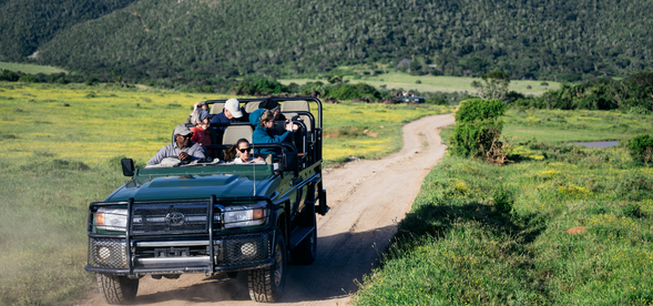 阿多國家公園Safari