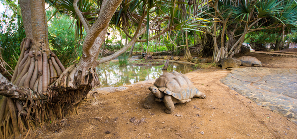 La Vanille 自然公園