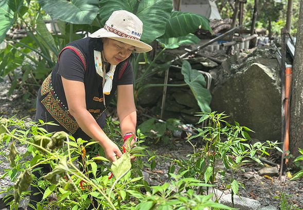 第一日DAY1
10:50 集合 | 嘉蘭遊客中心
11:00 入村祈福儀式
11:30 部落走讀巡禮
12:30 午餐 | 原始角落
13:30 八拿文化創藝工坊農事體驗
15:30 嘉蘭溫泉公園
16:00 入住蘭姐民宿
18:30 晚餐 | 伴山邀工坊
21:00 休息