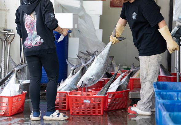 第二天DAY2
09:30 三和定置漁場
10:30 天空之境美拍
11:00 金土咖啡
12:00 賦歸