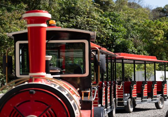 【行程時刻表】
09:50 集合|卡夫龍安南島文化交流園區
10:00 魯拉克斯部落文化巡禮
11:30 歷坵村水火儀式
12:00 部落射箭體驗
12:30 午餐|少妮瑤烘焙坊
13:30 小米鑰匙圈DIY
14:00 賦歸