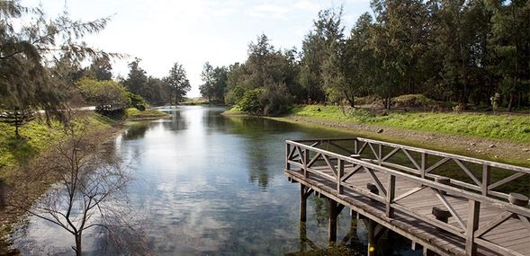 15:20-16:20 台東森林公園騎車(單車)欣賞琵琶湖 (含費用$100/人)