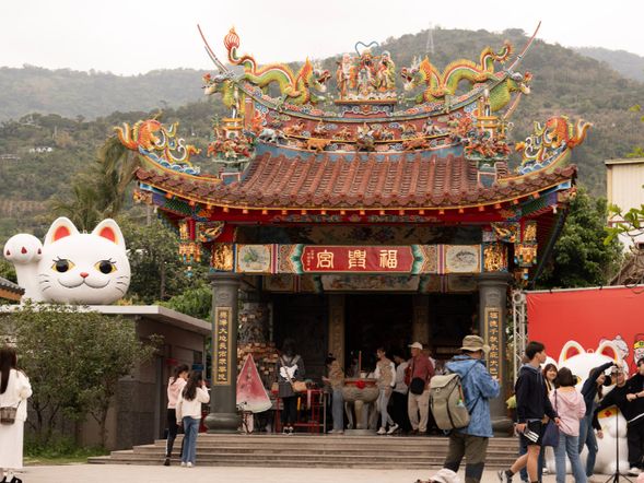 【行程時刻表】
第一天DAY1
09:50 集合|太麻里火車站
10:20 太麻里貓廟
10:30 撒布優部落導覽
12:00 午餐土地席間
13:00 編-日子 月桃編織
14:00 烘豆體驗陪豆子等一下
15:00 辦理入住
17:00 晚餐
19:00 休息就寢