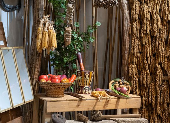 第二天DAY2
10:00 部落原生藥草走讀
12:00 魯拉克斯達而達午餐
13:00 賦歸