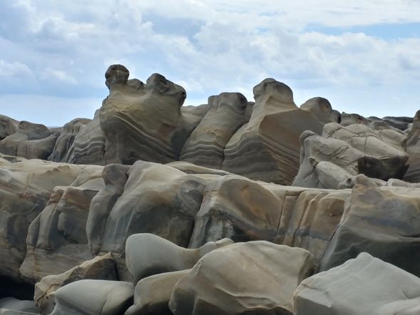 09:40-10:20 台東美麗東海岸觀賞沿途海岸美景。小野柳風景區(富岡地質公園)豐富的地質奇景及植物生態,並可遠眺綠島