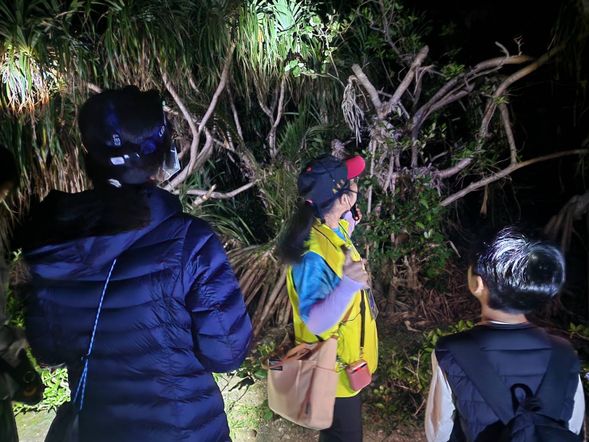 19:00-20:00 夜訪小野柳〜台東最佳夜遊活動,窺探寄居蟹生態及地質導覽、特色植物觀察並解說,還能無光害仰望台東最美星空。