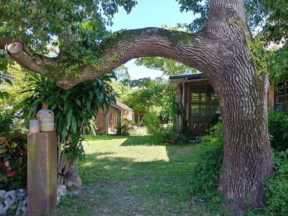 09:40-10:20 龍田茶園-戲劇茶金拍攝場景及懷舊柑仔店參觀