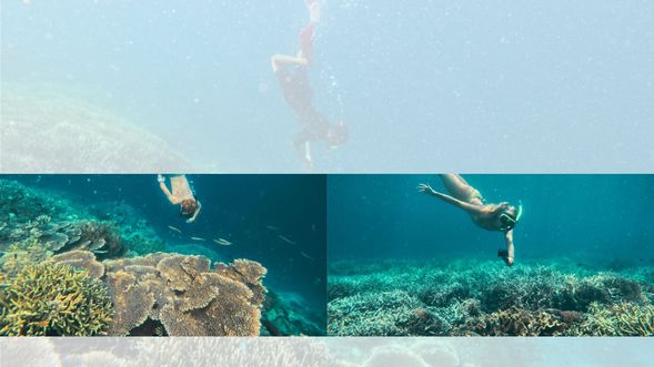 Sebayur Island - Snorkeling to see beautiful unnderwater scenery
