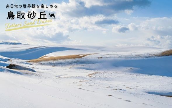 Tottori Sand Dunes (Crab full-course lunch & sand dune walk / approx. 120 min)