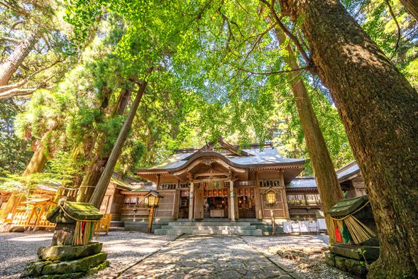 Takachiho Shrine (30min)