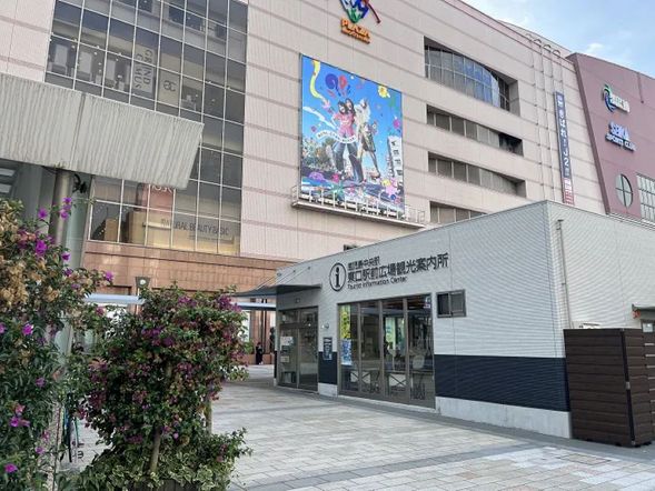 9:00/13::00 Meet guide at East Exit Tourist information center of Kagoshima Chuo Station