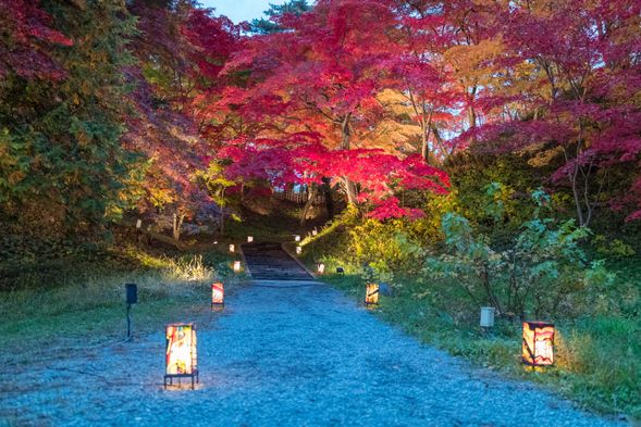 Viewing autumn leaves at Hirosaki Castle
(Approximately 90 minutes of free time to explore)