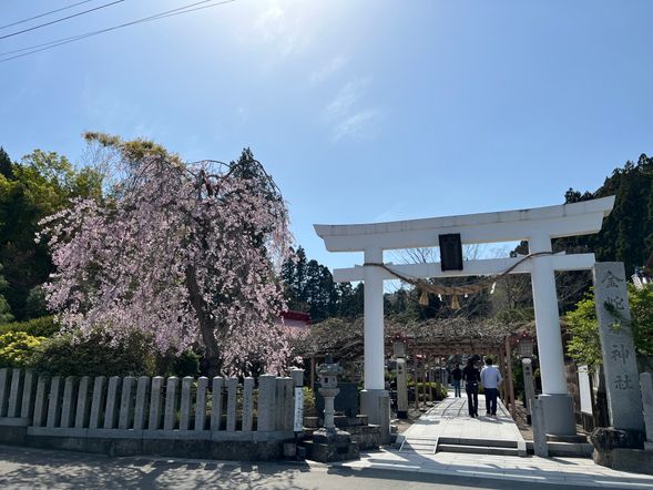 金蛇水神社自由參拜