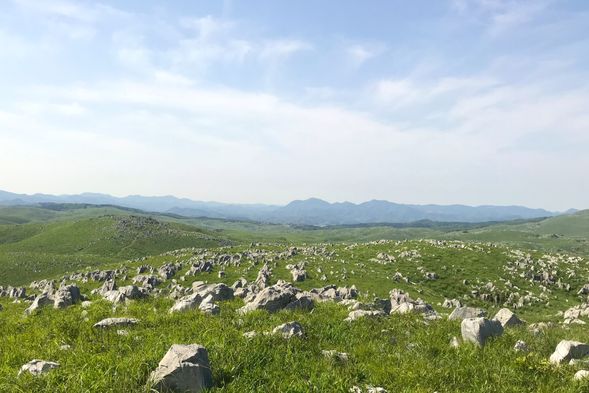 Akiyoshi-dai (Sightseeing through the window)