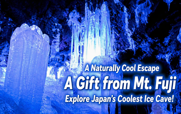 Narusawa Ice Cave or Fugaku Wind Cave
(Explore the icy world / approx. 30 min)