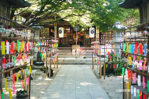 Nyoirin-ji Temple(Frog Temple)(60min)