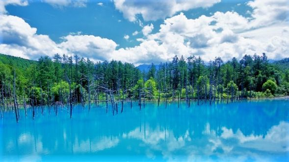 Shirogane Blue Pond / Aoiike (20)