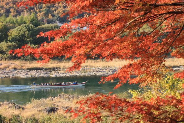Autumn Cruise at Inuyama
(20mins)