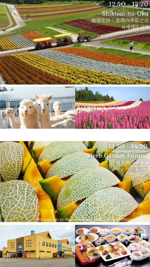 S2-1, S2-2, S2-3, S2-4
Shikisai-no-Oka
Herb Garden Furano
S2-1, 2-3 : Without Lunch Plan
Lunch is not included in the tour.
You can order by yourself via Mobile Order
at Herb Garden Furano.
S2-2 :Lavender, Buffet & Melon
Enjoy a 40-minute lunch time featuring All-You-Can-Eat premium Hokkaido Red-Flesh Melon!
*Please note: Depending on the lunch package you select, the dining location (restaurant) will vary.
S2-4 : Buffet Plan
40-minute lunch time.
This package does not include the All-You-Can-Eat Melon option.