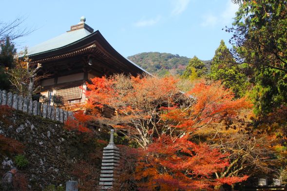 【Kunisaki's Mountain Temple Trek】Descend to Futago Temple