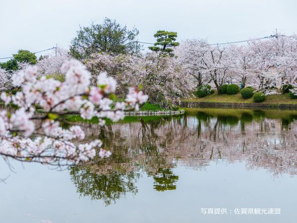 14:10 - Arrive at Ogi Park, a famous cherry blossom viewing spot in Saga (60-minute)