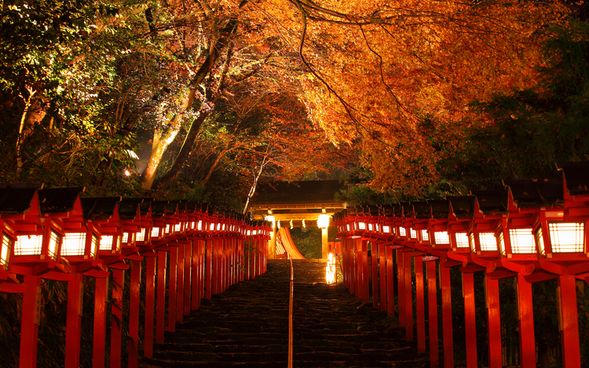 Kifune Shrine
(Admire the autumn foliage and the magical approach illuminated by the soft glow of lanterns / Approx. 60 min)