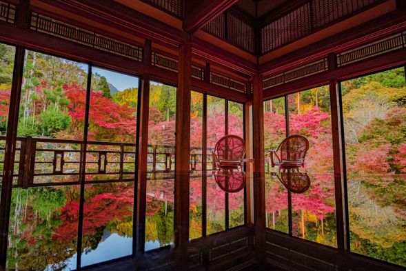 13:50 Arrive at Kankyō Geijutsu no Mori (Environmental Art Forest) for 80 minutes