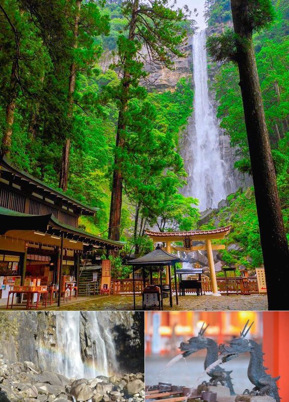 Nachi Falls/Hiro Shrine
(133m drop! Admire one of Japan's three most famous waterfalls/about 30 mins)