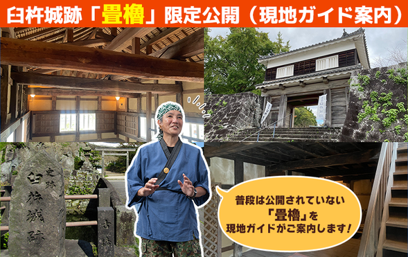 2. Without Kimono Rental → Drop off at Usuki Castle Ruins
Guided tour with a local guide (approx. 60 min)
※ Includes special access to the Tatami Turret, normally closed to the public