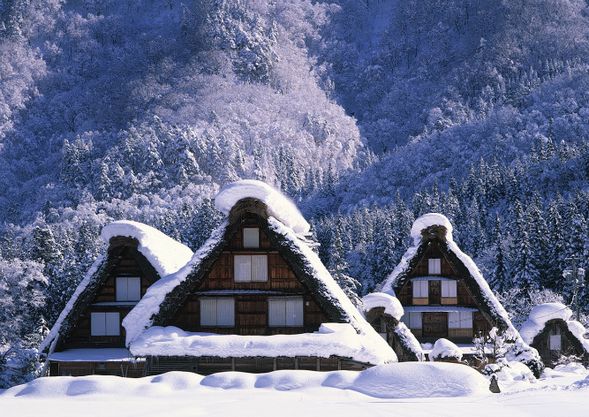 Shirakawa-go
(Free exploration of World Heritage gassho village & free lunch / approx. 90 minutes)